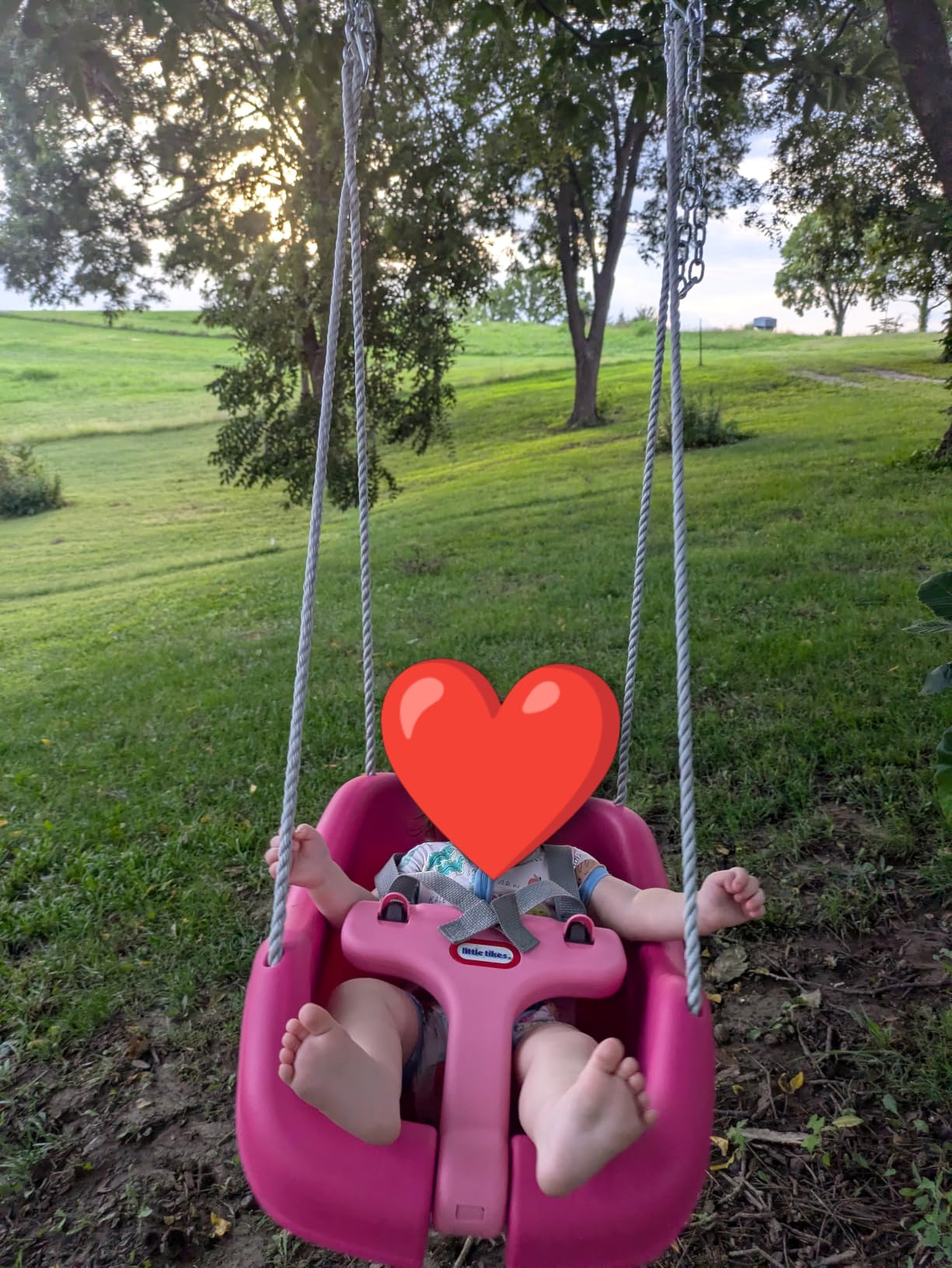 Little Tikes Active Play 2-in-1 Snug n Secure altalena magenta 22,7 kg