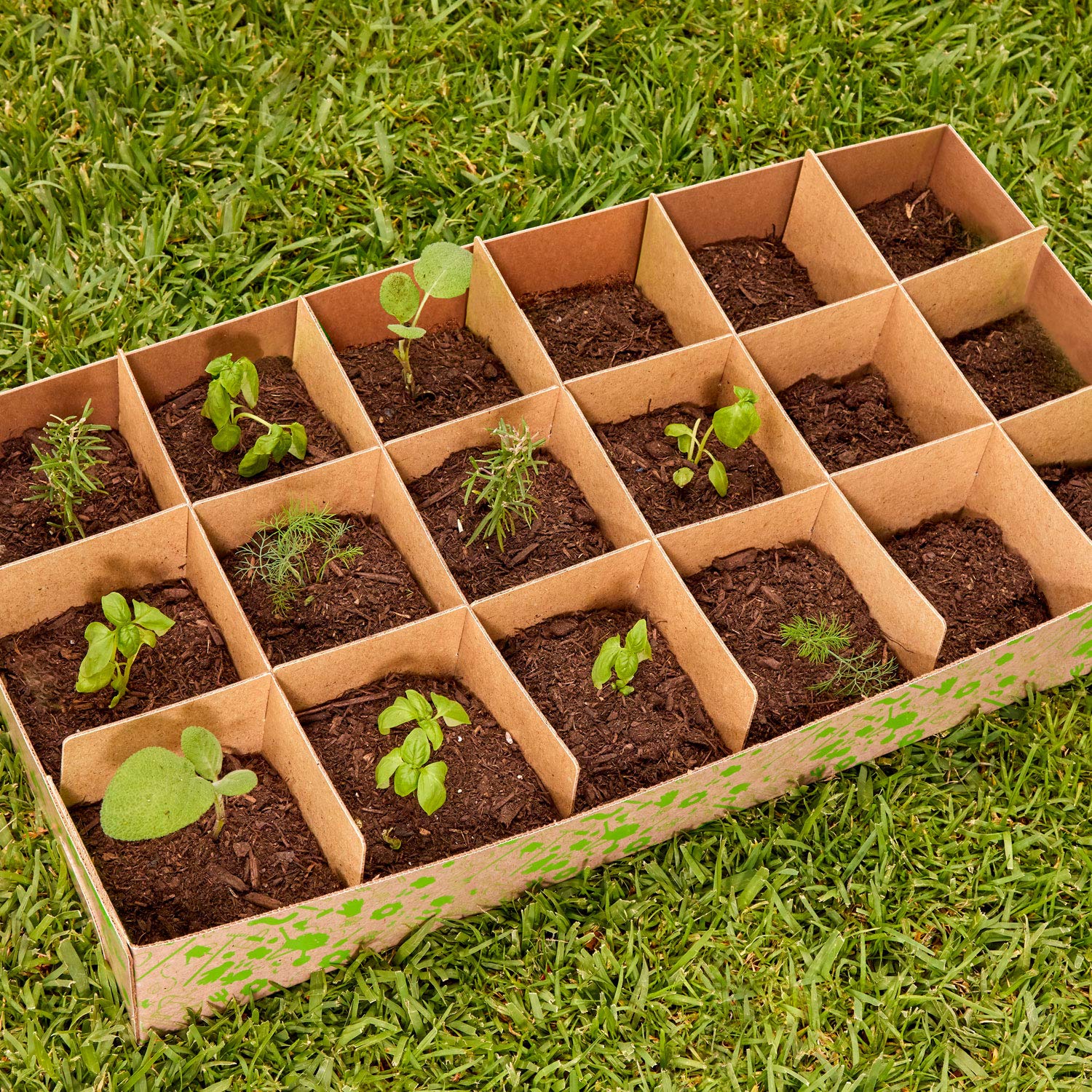 Little Tikes Growing Garden Carriola Giocattolo con Pala da Giardino